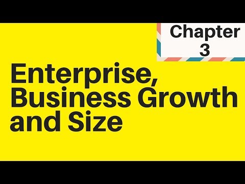 1.3 Enterprise, Business Growth and Size - IGCSE Business Studies